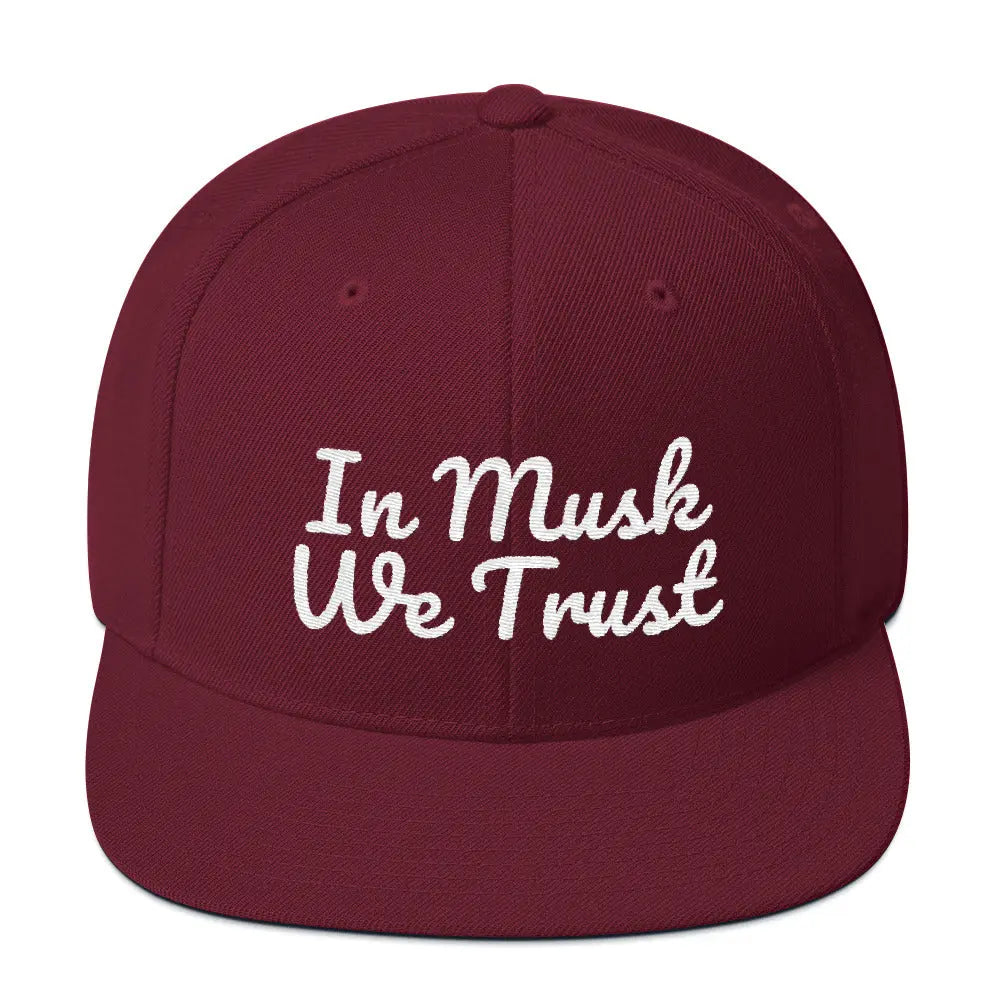 In Musk We Trust Snapback Hat Elon Musk Fan Cap